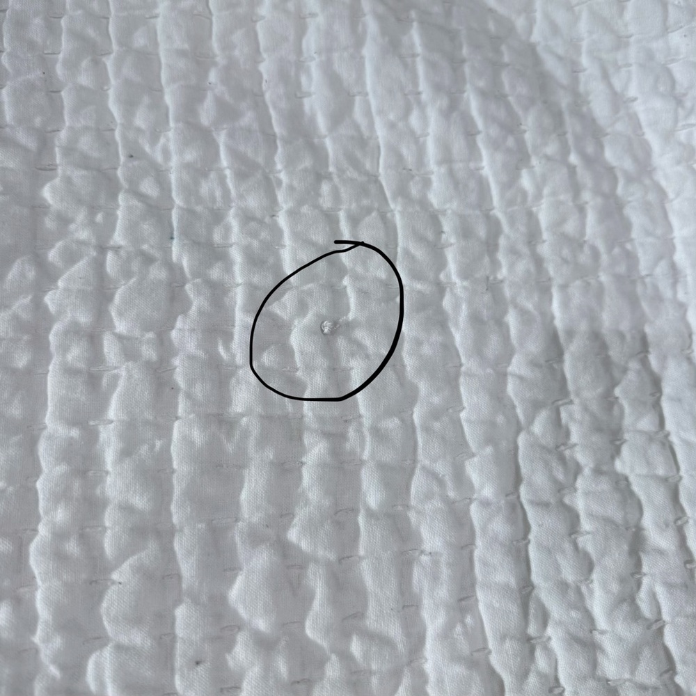 Pottery Barn King Shams - Picture 4 of 11